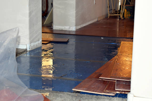 Professional Water Damage Restoration technician working in Elburn, IL